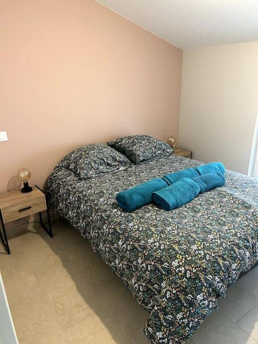 Le Cosy Grenier De Pauline Et Flo Apartman Cessenon-sur-Orb Kültér fotó