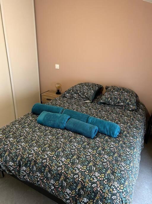 Le Cosy Grenier De Pauline Et Flo Apartman Cessenon-sur-Orb Kültér fotó
